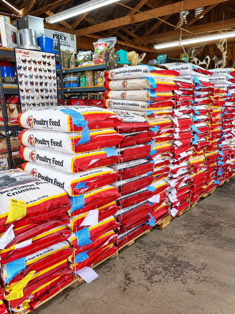 Local poultry feed store in Visalia offering feed and supplies for backyard flocks.