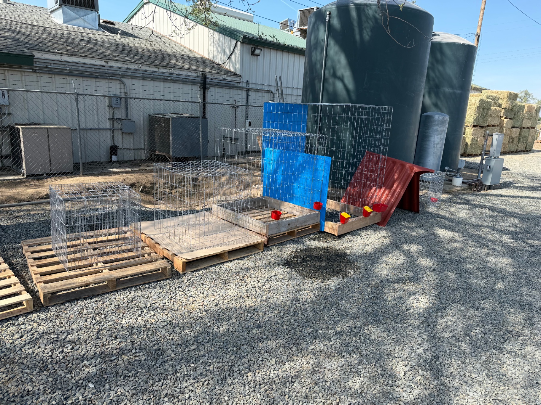 Outdoor cages and supplies